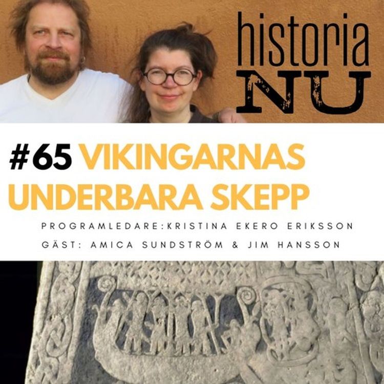 cover art for Vikingarnas underbara skepp
