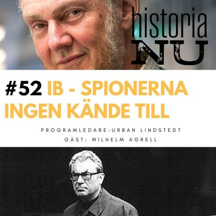 cover art for IB-affären - underrättelsetjänsten som inte fanns