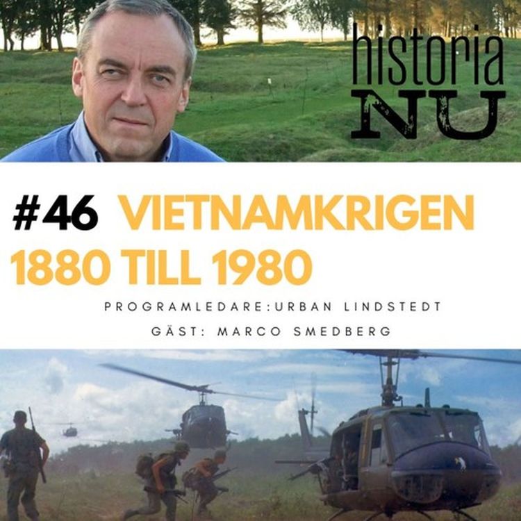 cover art for Vietnamkrigen formades av kalla krigets mallar