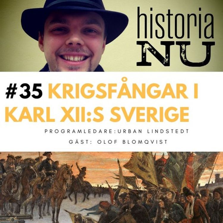 cover art for Tjugo år som krigsfånge i Karl XII:s Sverige