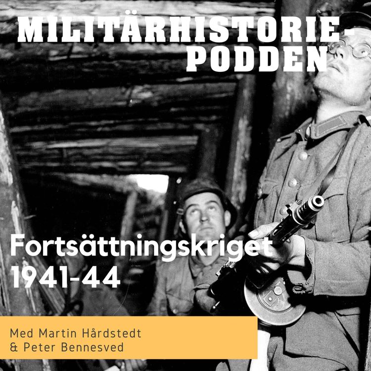 cover art for Fortsättningskriget – den finska alliansen med nazityskland (nymixad repris)