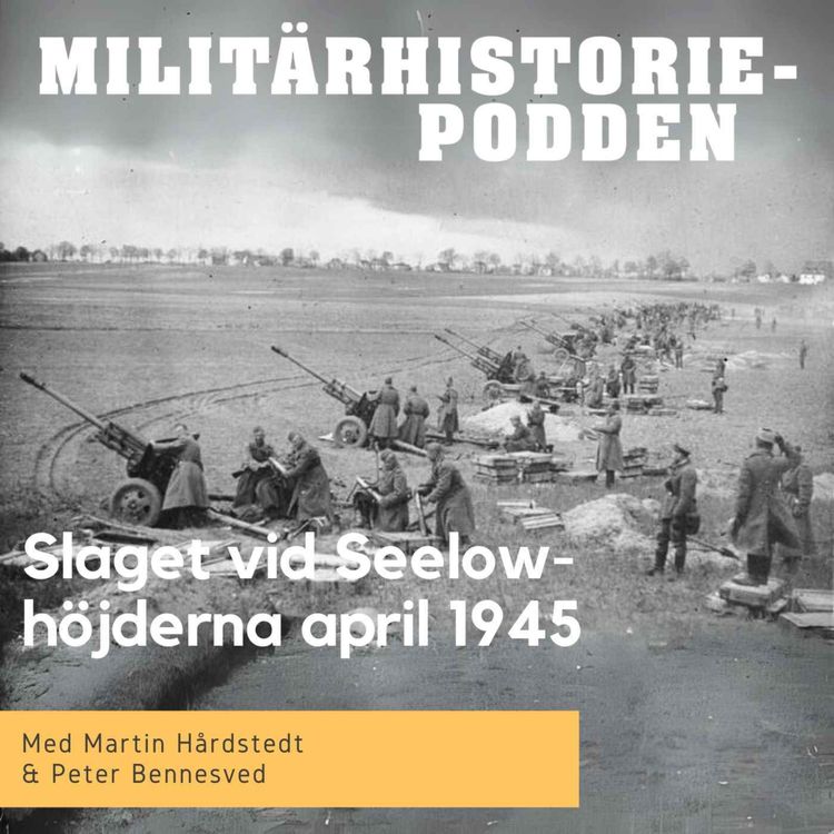 cover art for Seelowhöjderna april 1945 – Nazitysklands sista desperata försvar