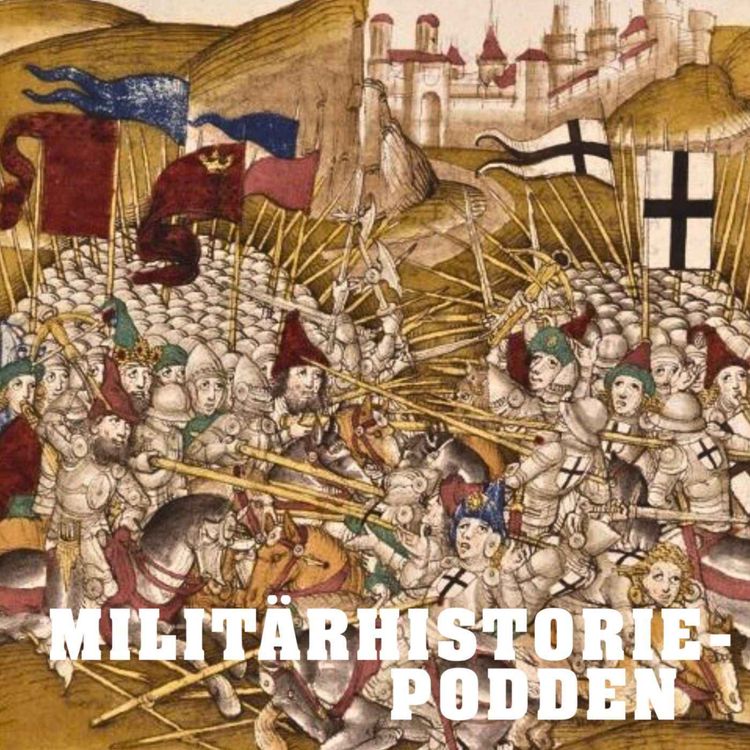 cover art for Tyska orden och korstågen i Östersjöområdet