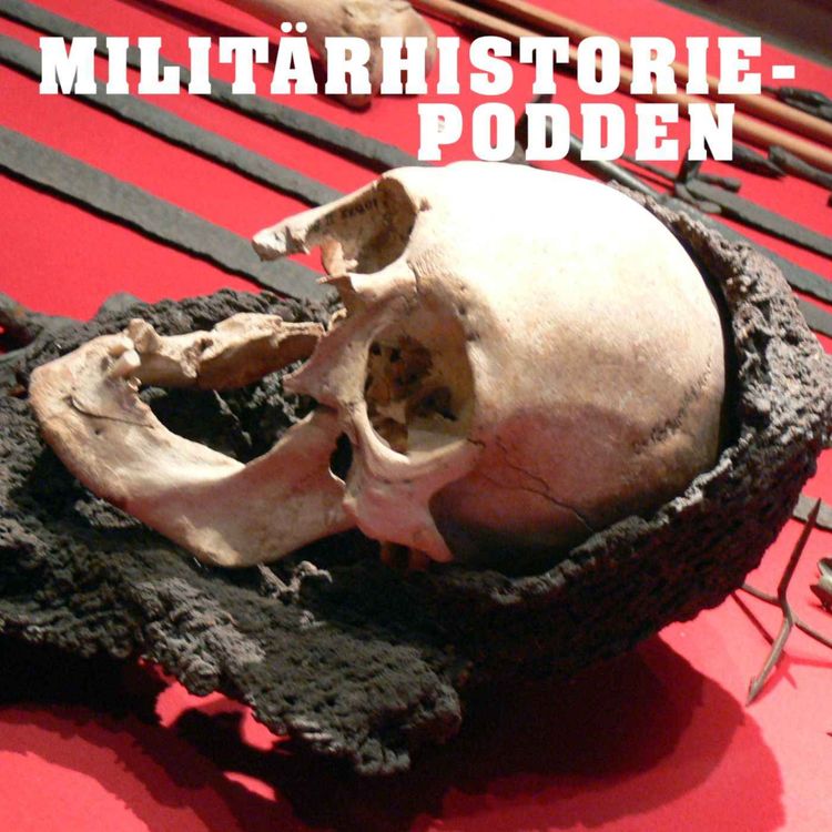 cover art for Bondeslakt vid Visby 1361