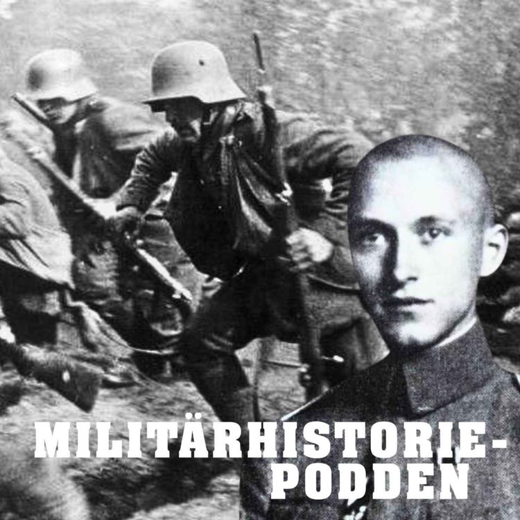 cover art for Vår tids viktigaste skildringar av västfronten