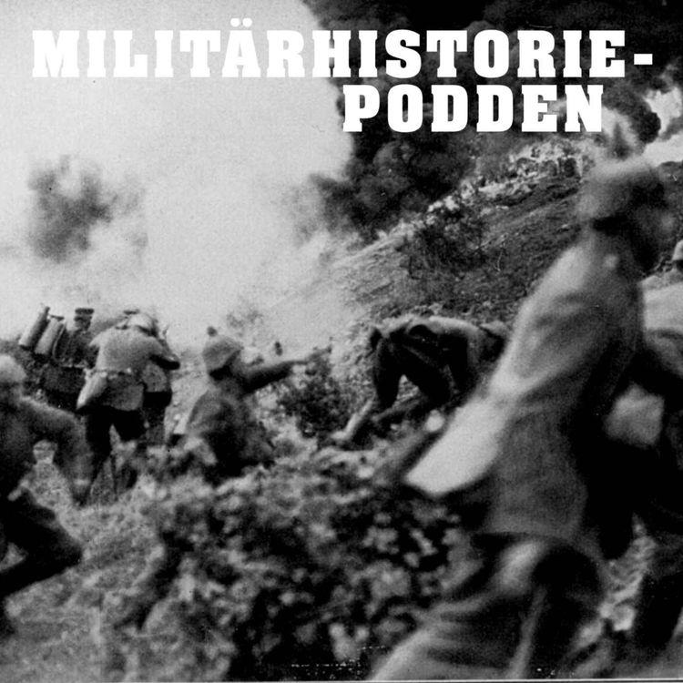 cover art for Förintelsekampen vid Verdun 1916 