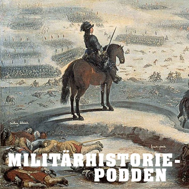 cover art for Karl X riskerade allt och vann