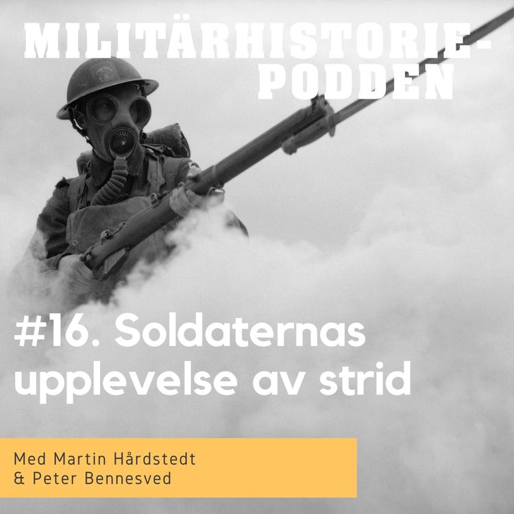cover art for Upplevelser av krig – att dö eller dödas i strid