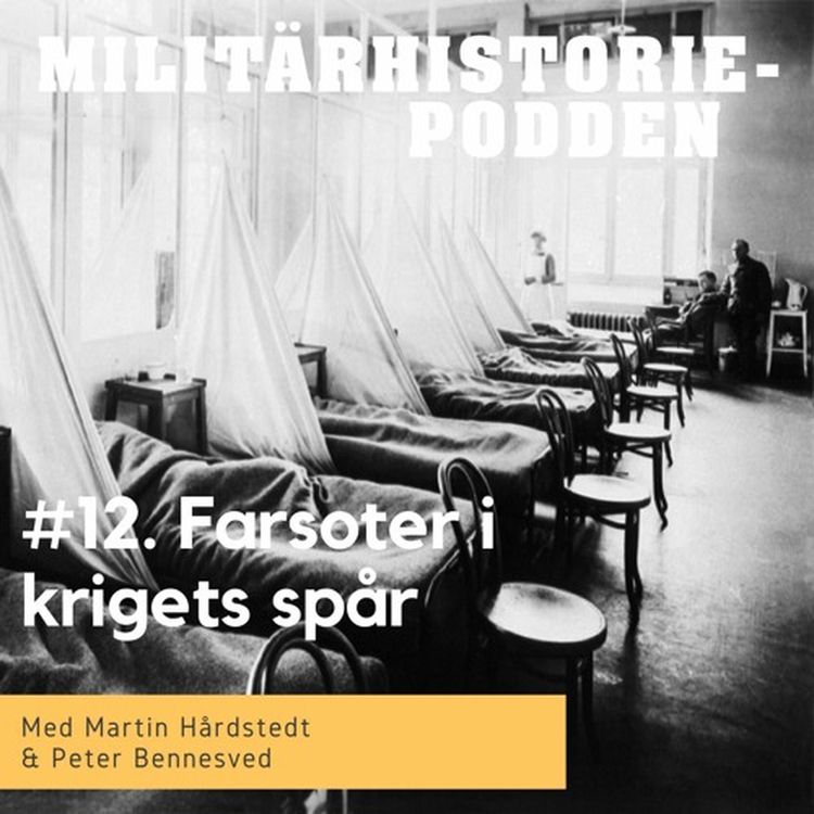 cover art for Smittor och farsoter i krigets spår