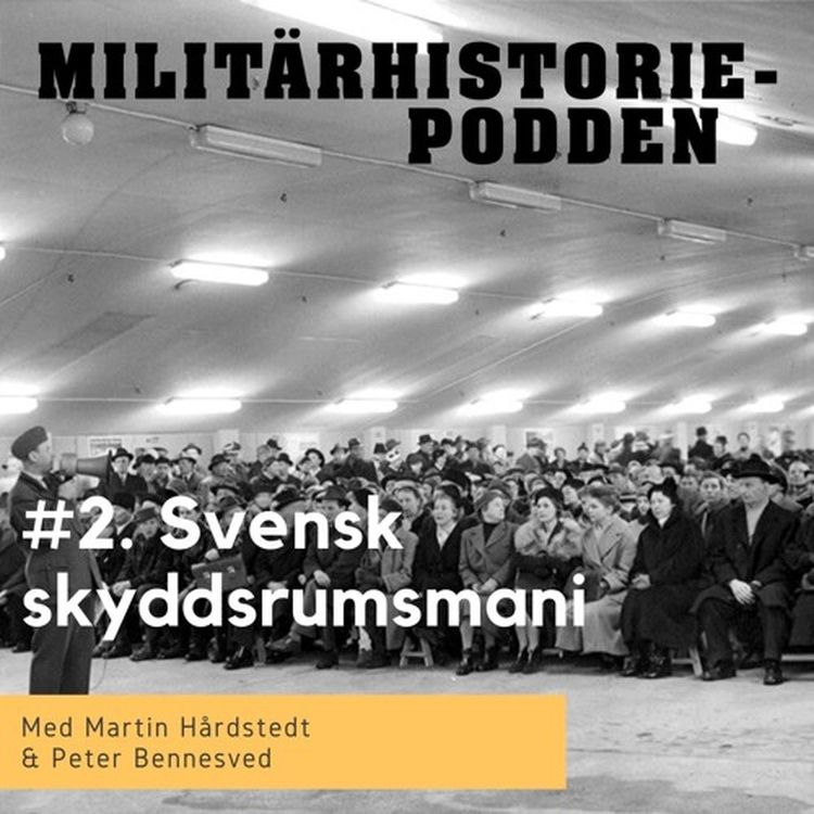 cover art for Därför byggde Sverige näst mest skyddsrum i världen