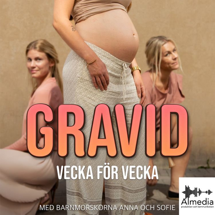 cover art for Almas andra graviditet