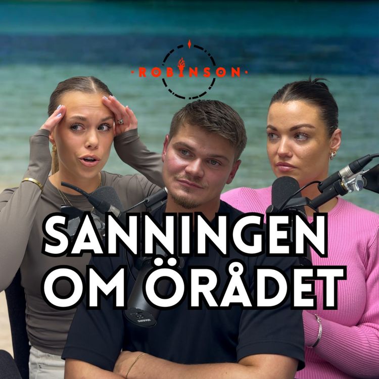 cover art for 528. Sanningen om örådet