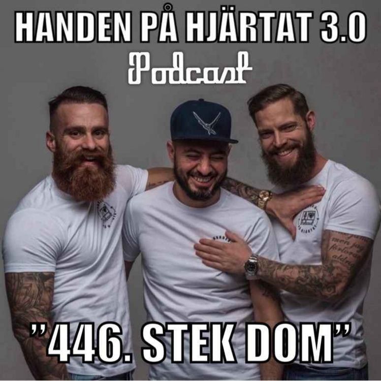 cover art for ”446. STEK DOM”