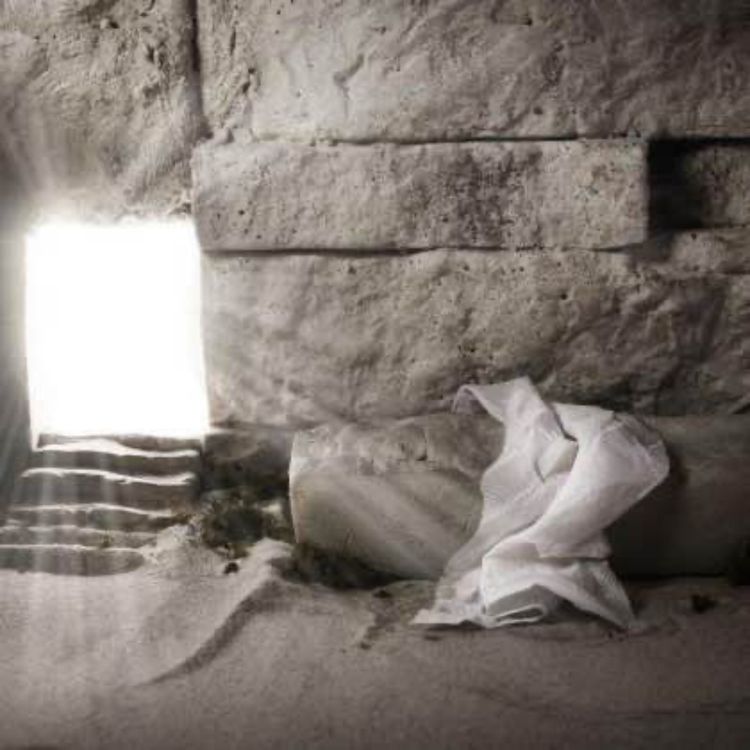 cover art for Eier, Hase und Lammbraten