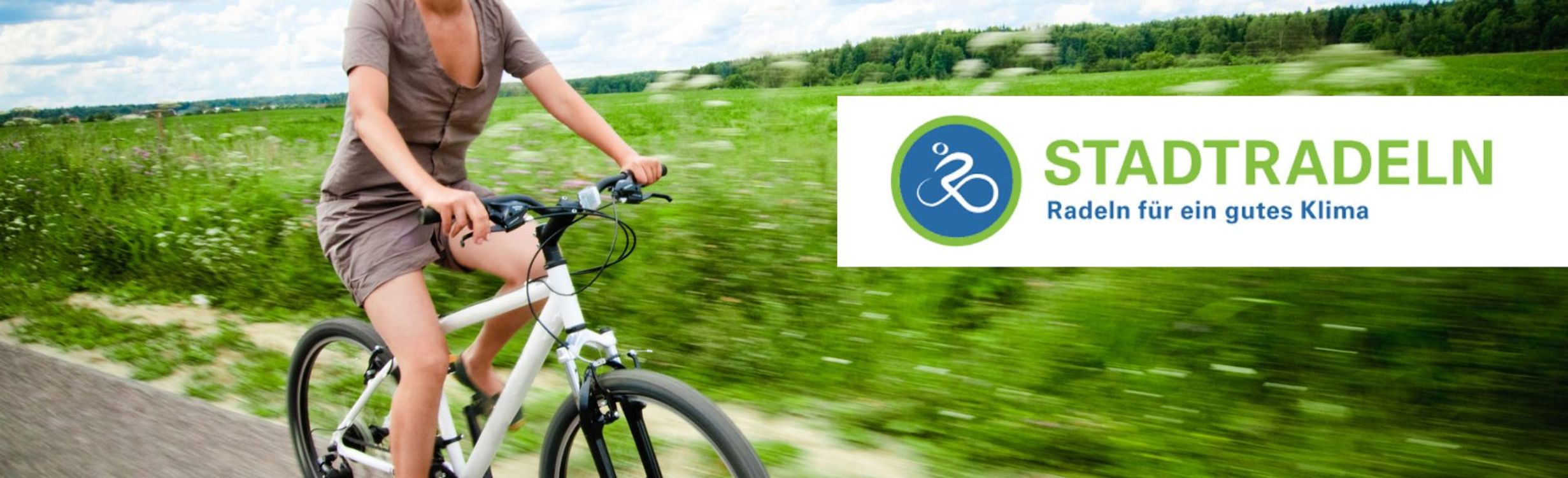 cover art for Baptist racing Team