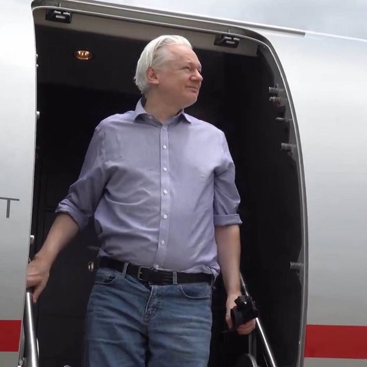 cover art for Julian Assange ist frei