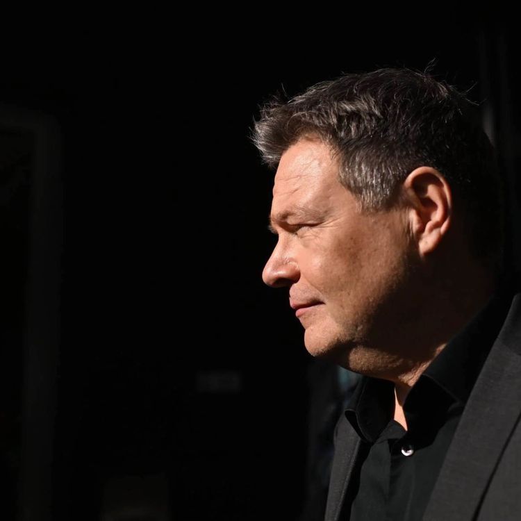 cover art for Der ehrliche ist der Dumme