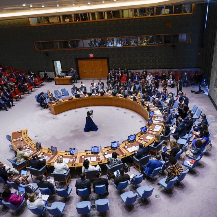 cover art for UN-Sicherheitsrat in der Hand von Verbrechern