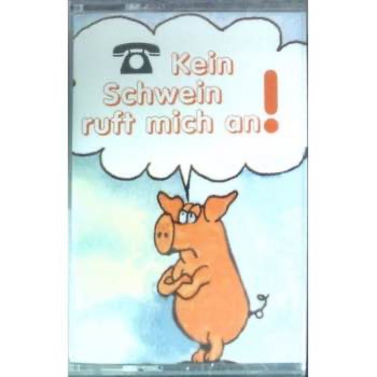 cover art for Kein Schwein ruft mich an