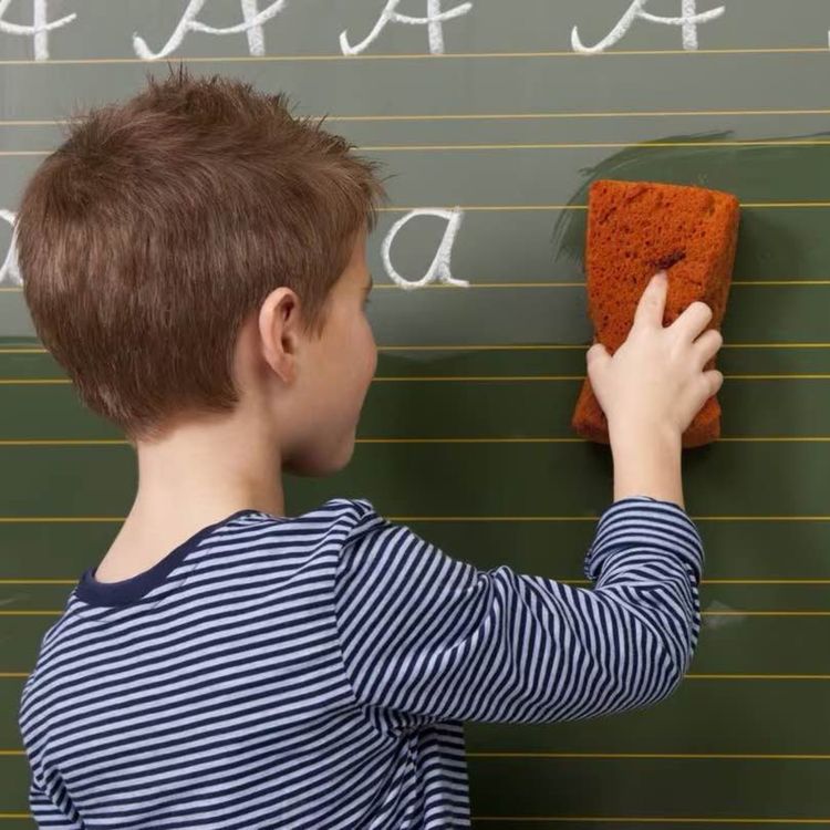 cover art for Müssen Kinder von beamteten Eltern auch putzen?