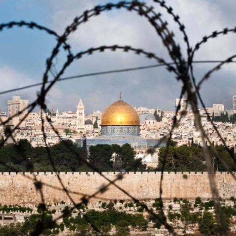 cover art for Der unendliche Krieg