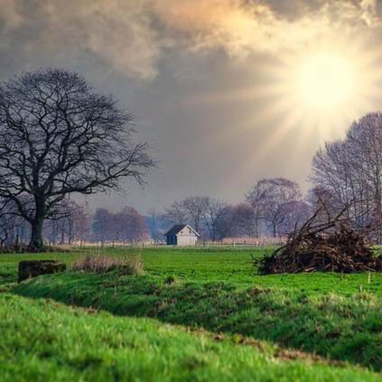 cover art for Herbsttag