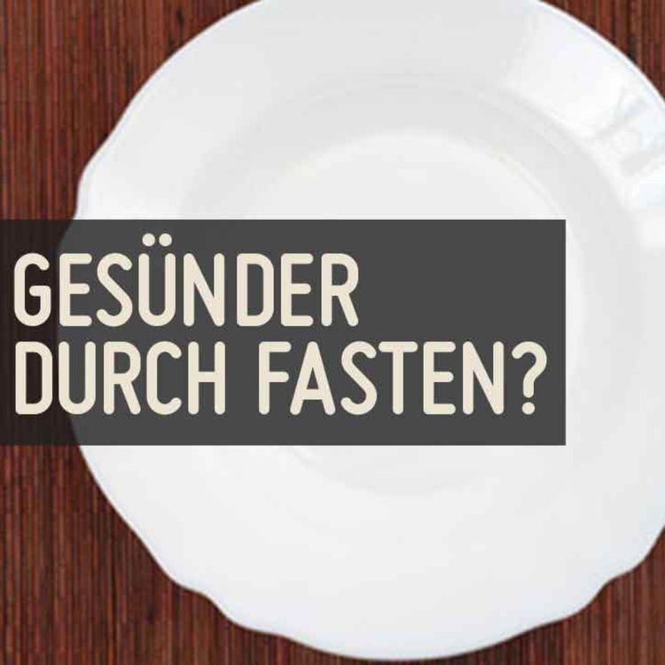 cover art for Fastentagebuch 1. Tag