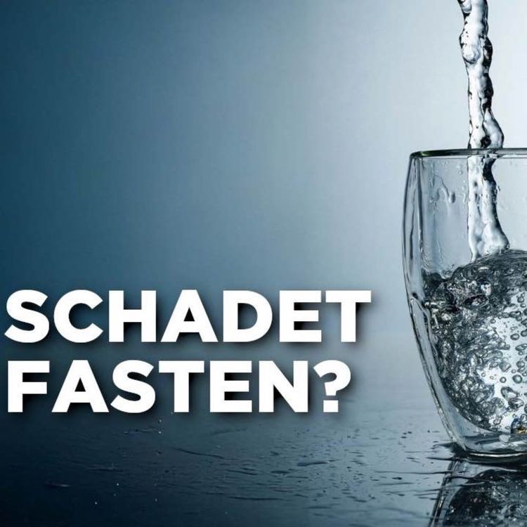 cover art for Fastentagebuch Tag 2