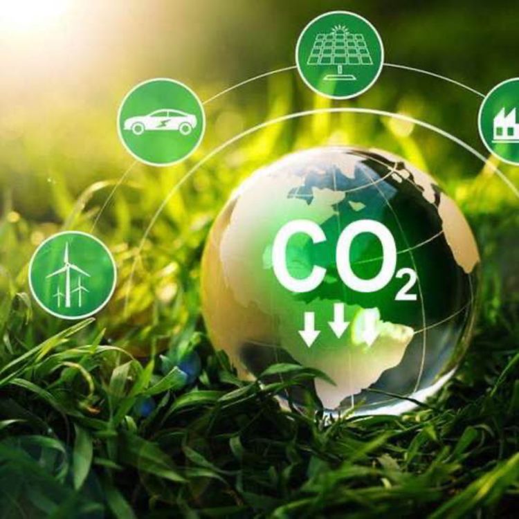 cover art for Trotz-dem Öko