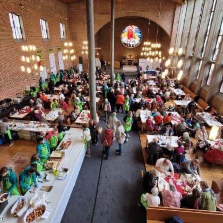 cover art for Die Würde bewahren