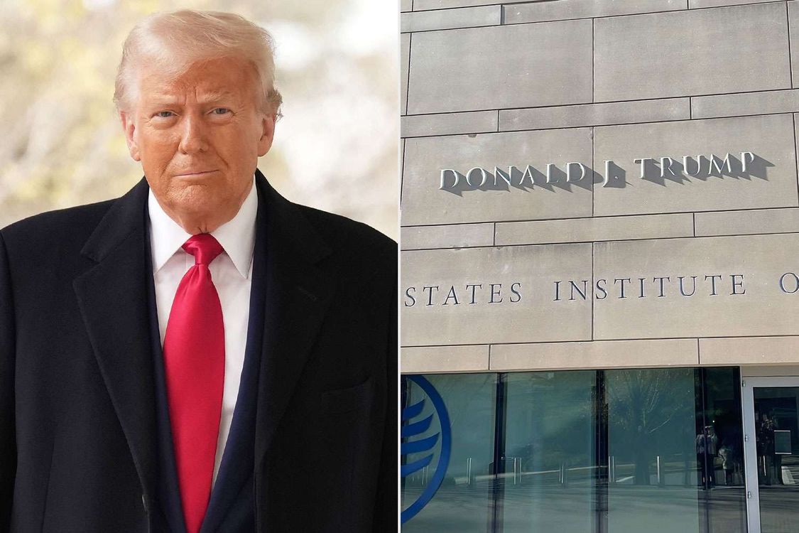 cover art for Der größenwahnsinnige Rassist und der Weltfrieden