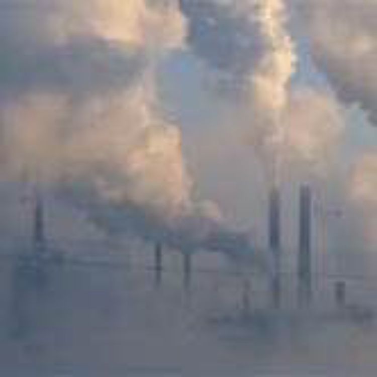 cover art for Oberfies - the Tscheinis