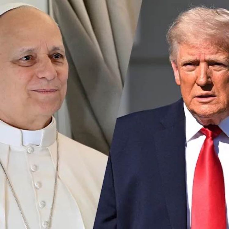 cover art for Don't mess around with Leo