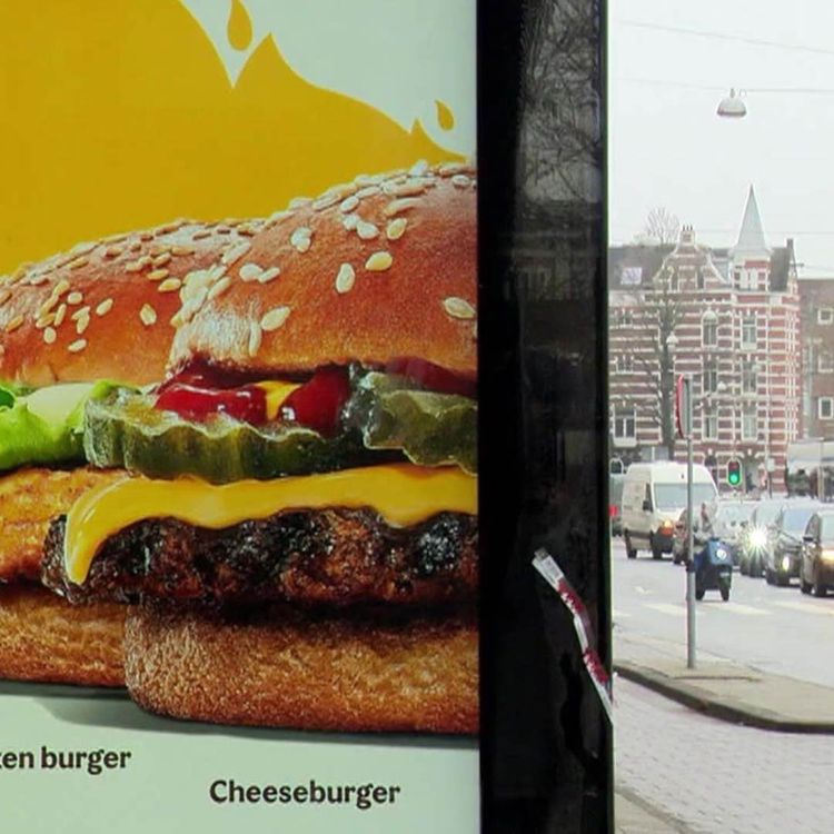 cover art for  Verbot für Werbung für Fleisch und Fernflugreise