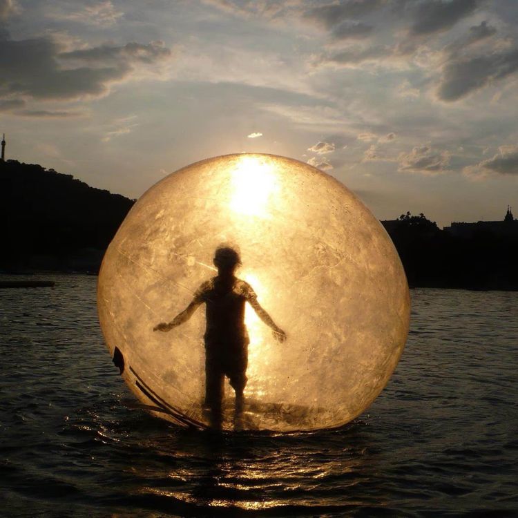 cover art for Leben in der Bubble