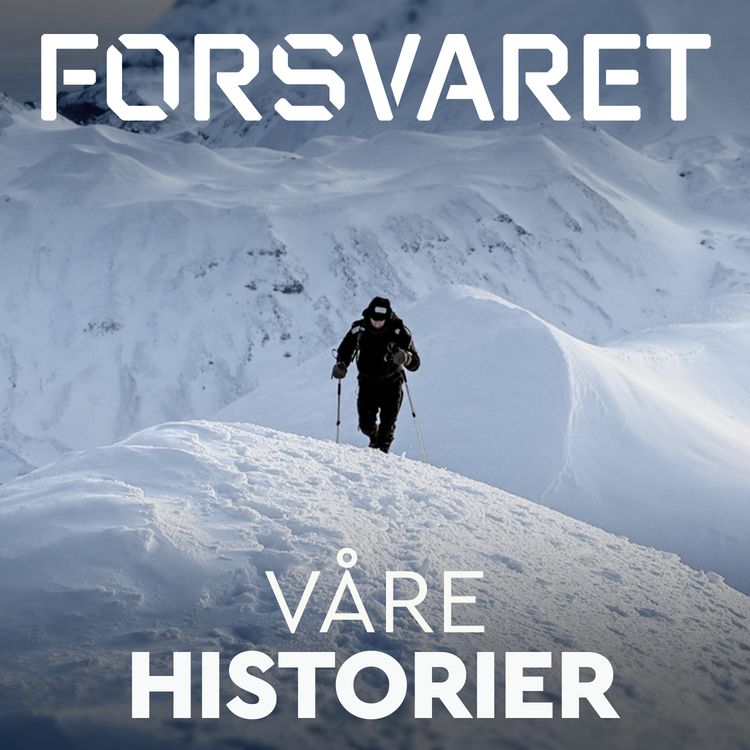 cover art for Skredet på Jan Mayen (1:3)