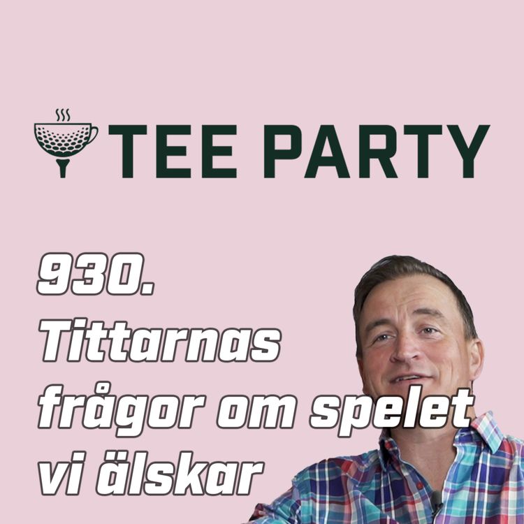 cover art for 930. Tittarnas frågor om spelet vi älskar