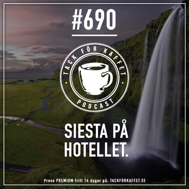 cover art for 690. Siesta på hotellet.