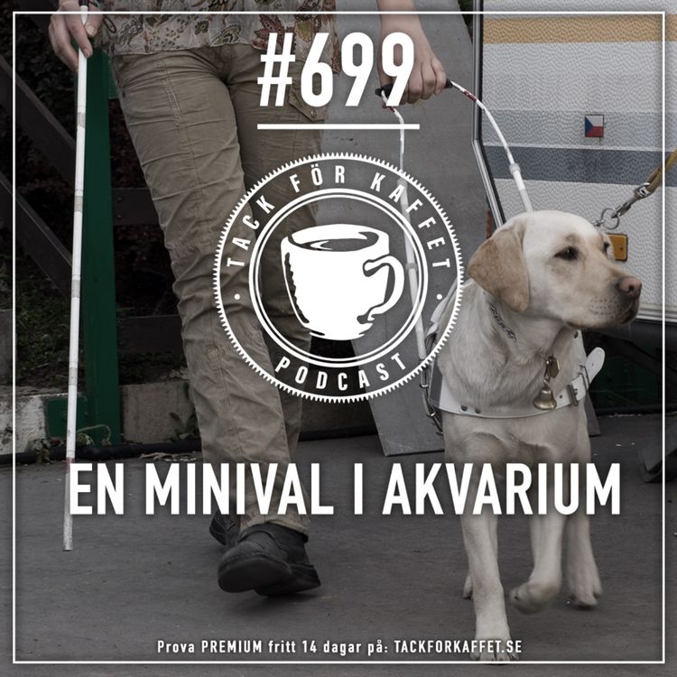 cover art for 699. En minival i akvarium.