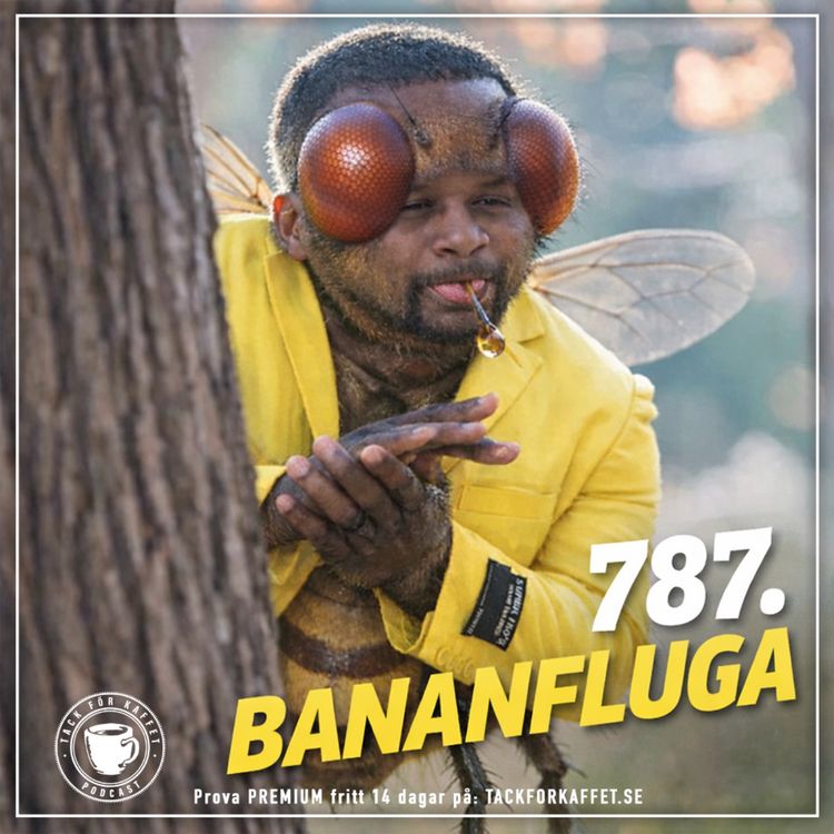 cover art for 787. Bananfluga.