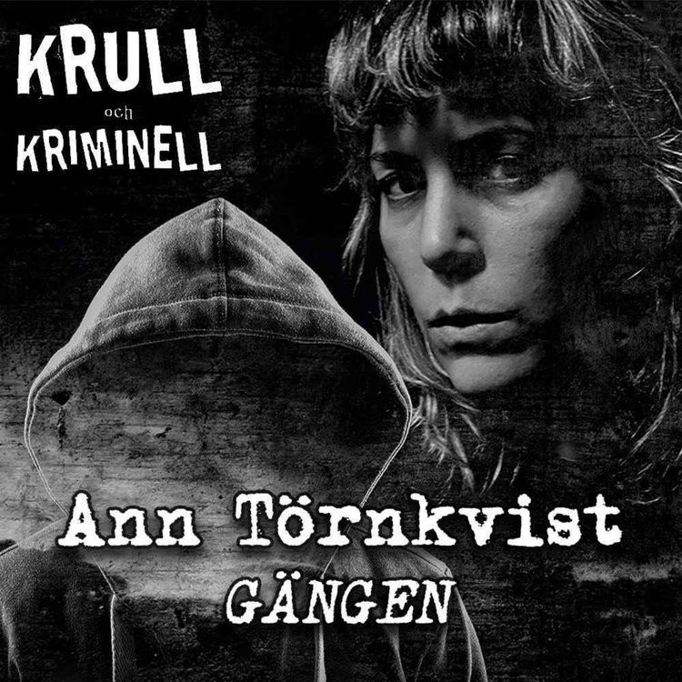 cover art for Ann Törnkvist