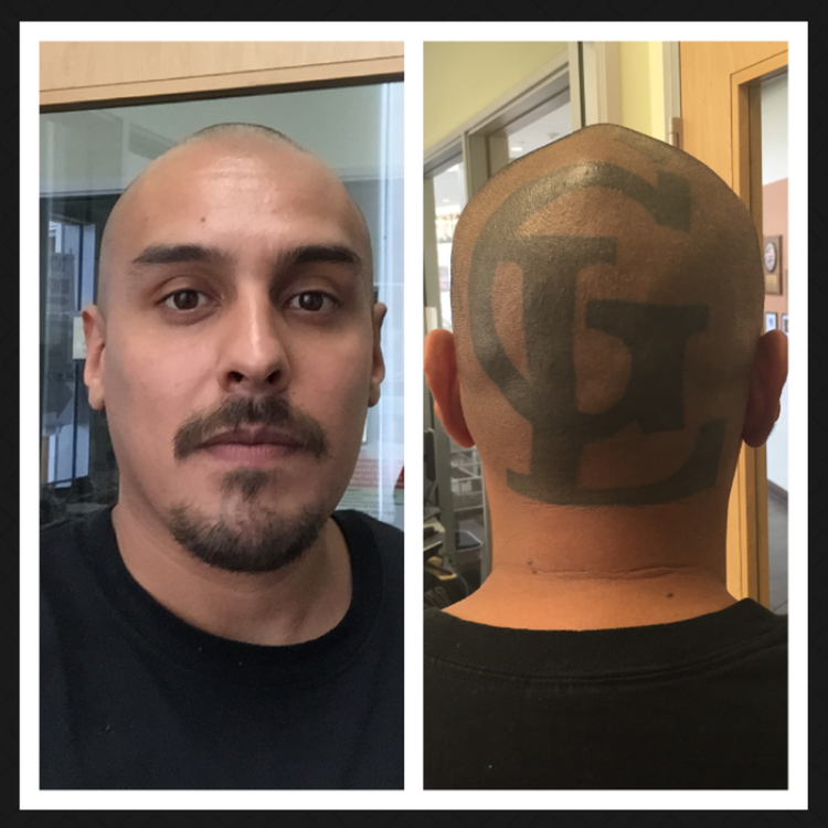 cover art for #33 David