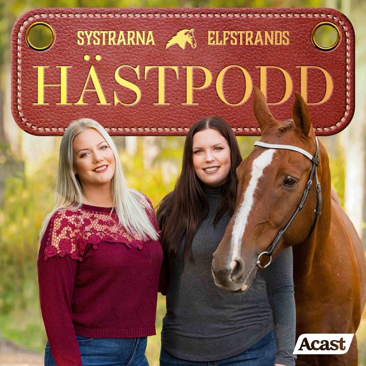 cover art for 250. Stolpe ut-tävlingshelg, fälttävlan 2025 & damsadel - frågepodd