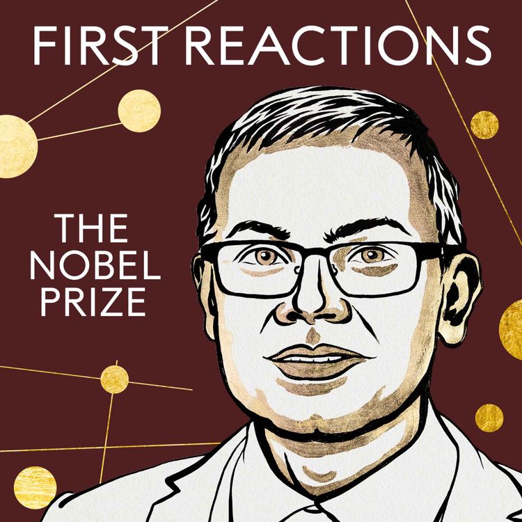 cover art for First Reactions | Demis Hassabis, Nobel Prize in Chemistry 2024 | Telephone interview