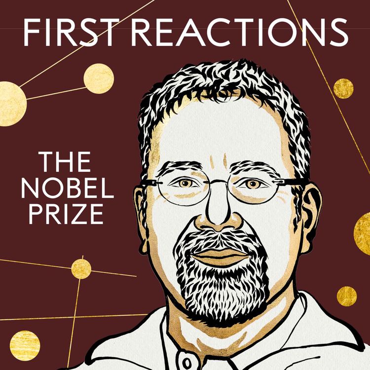 cover art for First Reactions | Daron Acemoglu, prize in economic sciences 2024 | Telephone interview