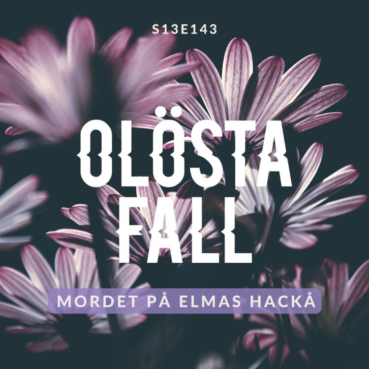 cover art for 143. Mordet på Elmas Hackå