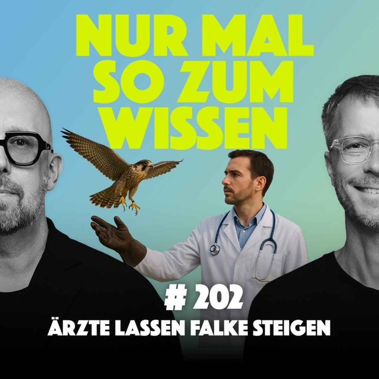 cover art for Ärzte lassen Falke steigen