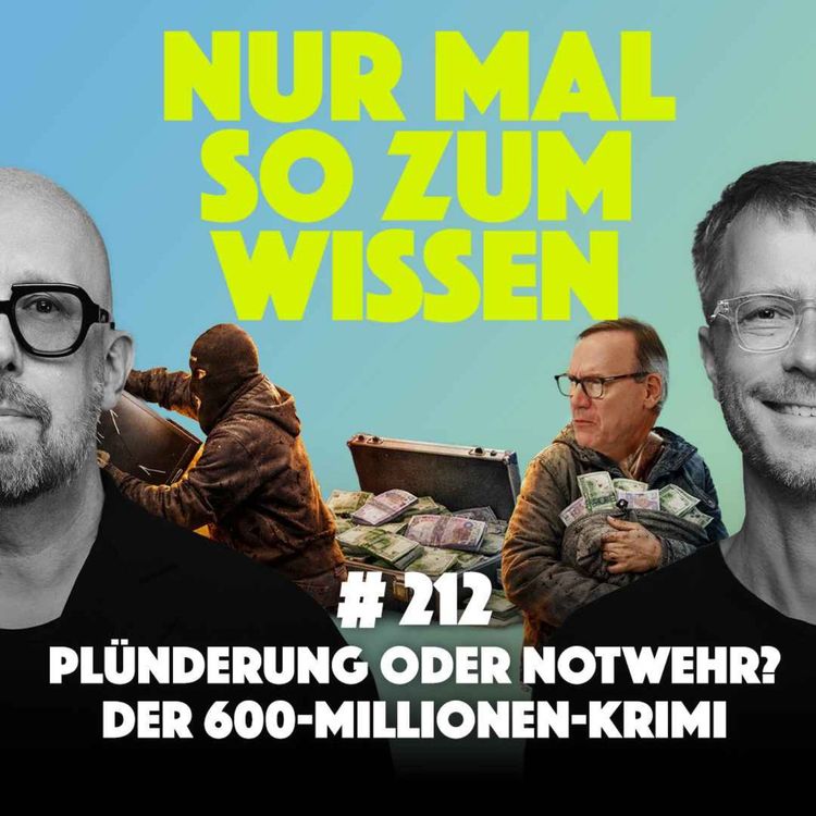 cover art for Plünderung oder Notwehr? Der 600-Millionen-Krimi