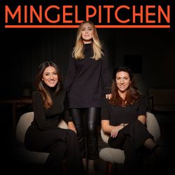 cover art for Mingelpitchen