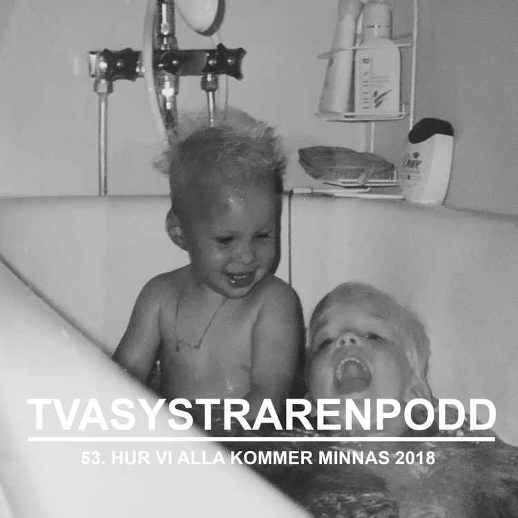 cover art for 53. Hur vi alla kommer minnas 2018